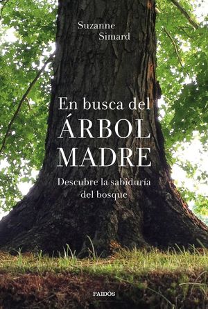 EN BUSCA DEL RBOL MADRE