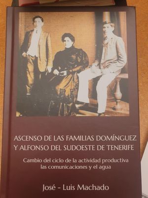 ASCENSO DE LAS FAMILIAS DOMNGUEZ Y ALFONSO DEL SUDOESTE DE TENERIFE (TAPA DURA)